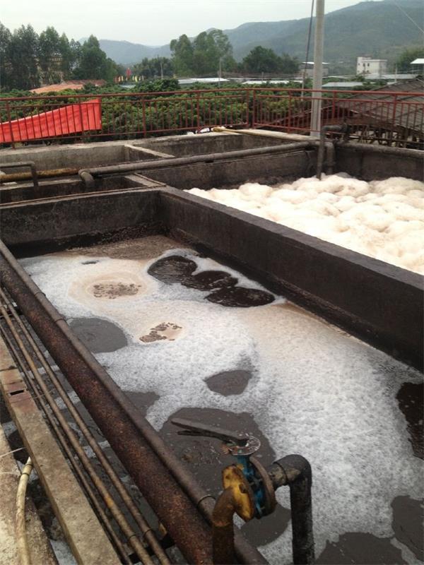 1448952269329623.jpg QQ圖片20151130155625.jpg