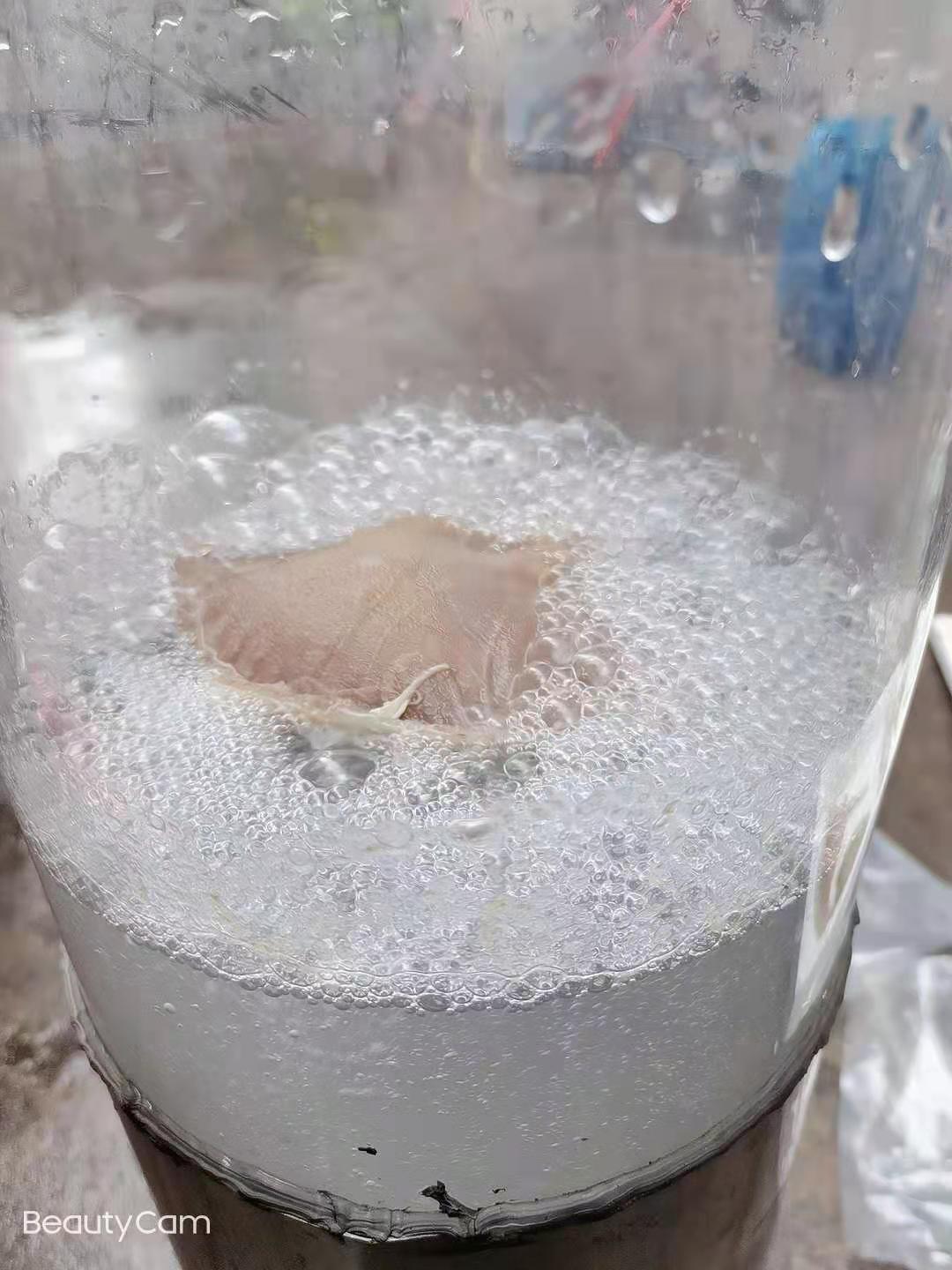 1611285199151436.jpg c5367ecbc3dd8950bd259af4d335e8b.jpg