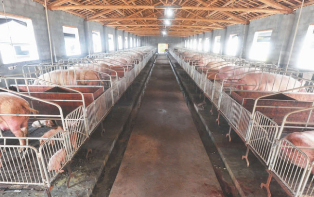 1614817817306748.png image.png