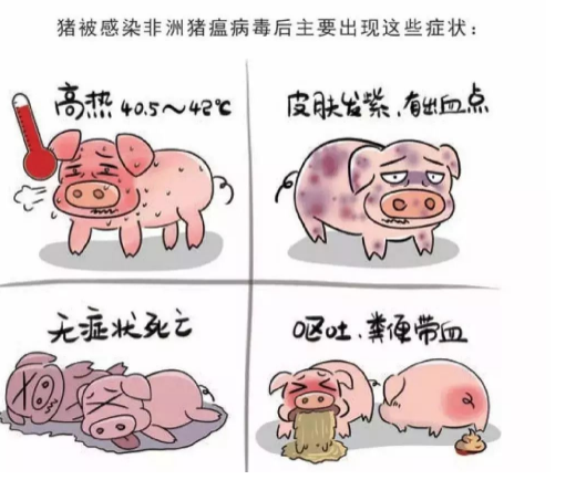 1638412040237298.png image.png