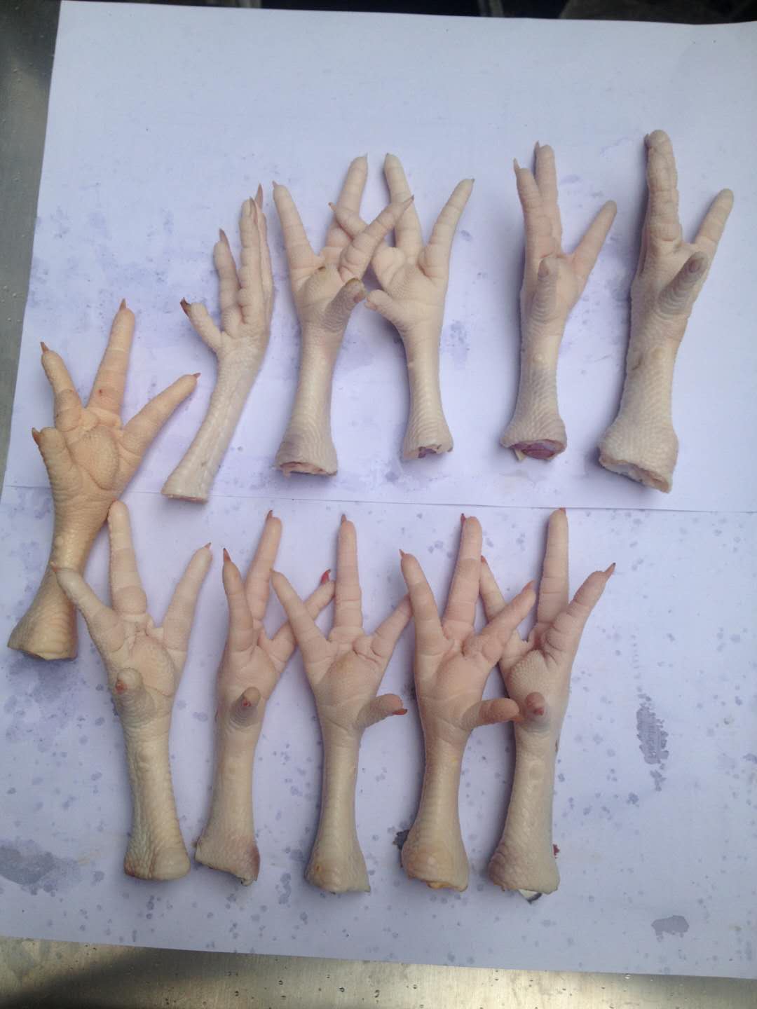 1638412731704940.jpg f6d520fe658b4f1c0459d91e9f2f487.jpg